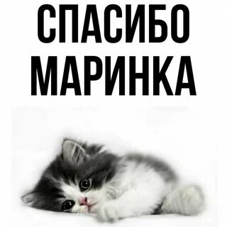Ваша маринка пх