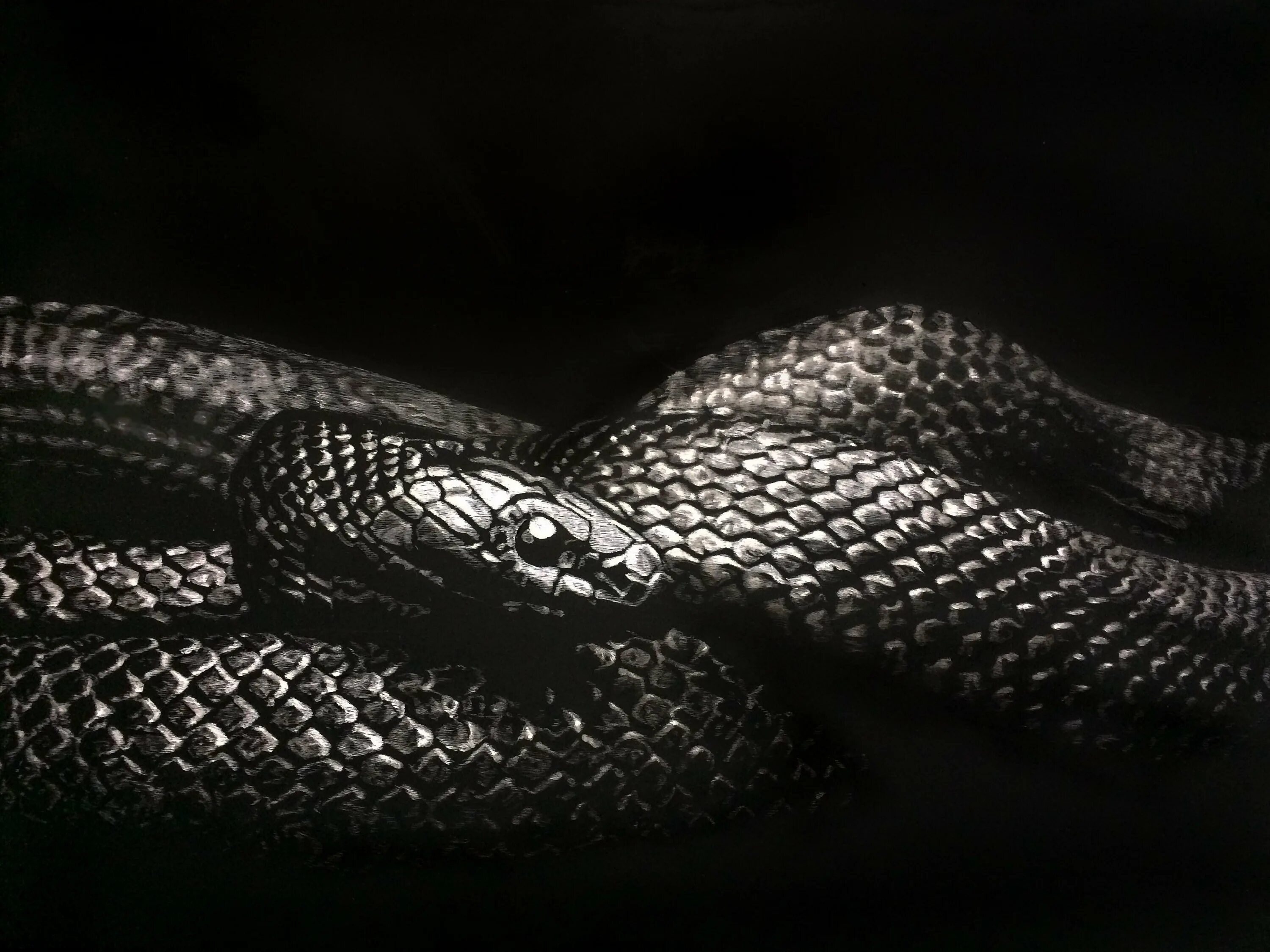 Smoke snake