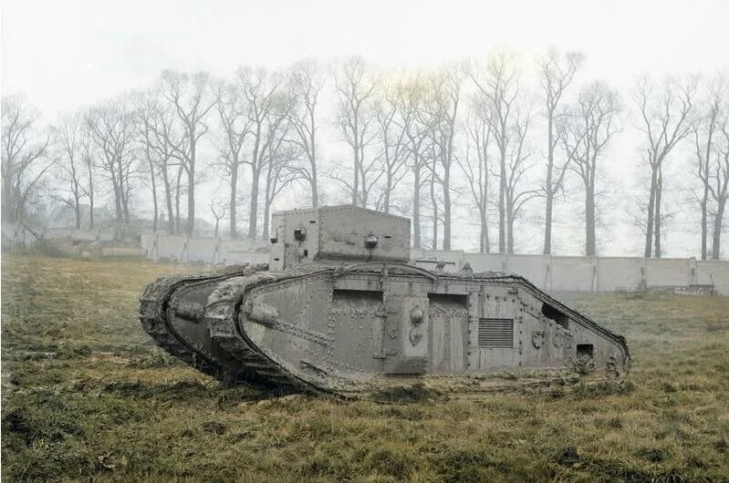 Tank livejournal
