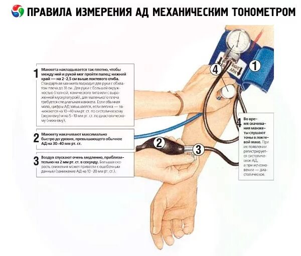 На правой или левой руке мерить давление. Как мерить давление ручным тонометром самому. Измерение артериального давления тонометром пошагово. Алгоритм измерения давления механическим тонометром. Измерение артериального давления механическим тонометром алгоритм.