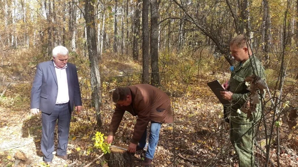 Вешкаймский лесхоз. Работники Вешкаймского лесхоза. Майнский лесхоз. Лесничества Ульяновской области.