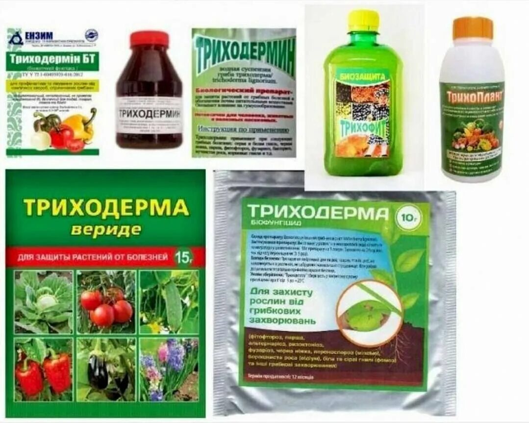 Триходерма как использовать. Фунгицид триходермин. триходерма для клубники. биопрепараты от бактериальных болезней растений. фунгицид триходерма.