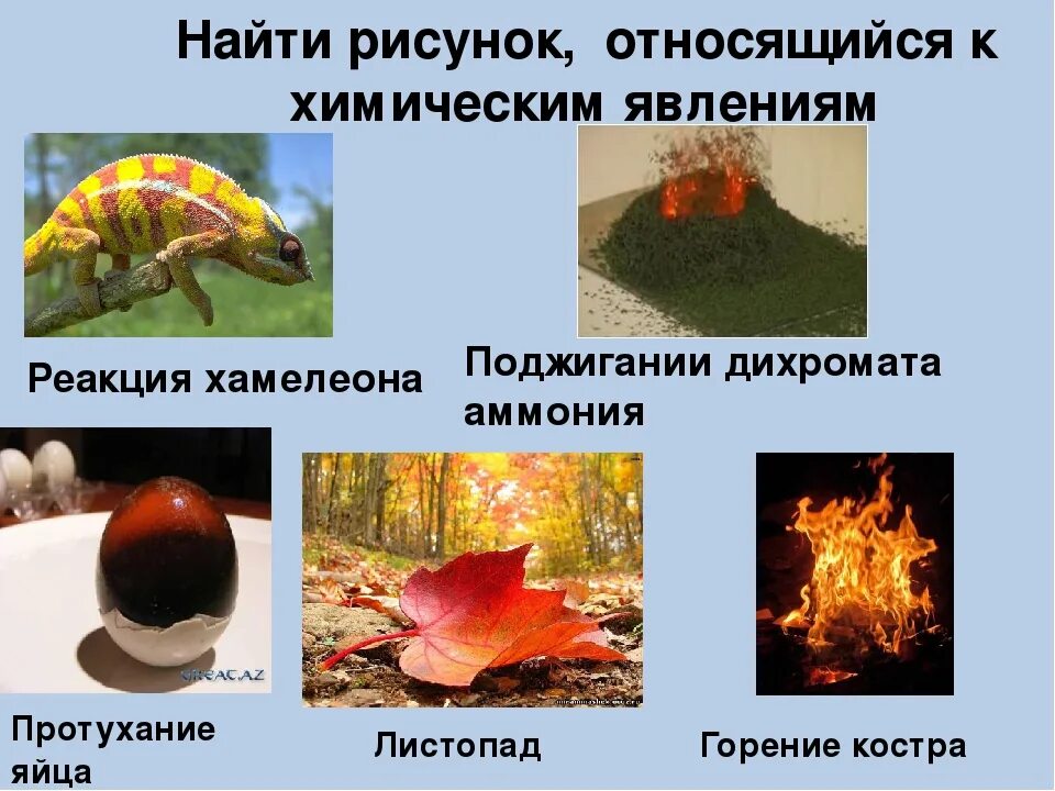 Приведите пример явления иллюстрирующего. Химические явления в природе. химические реакции в окружающем мире. химические реакции в природе. химические явления в природе примеры.
