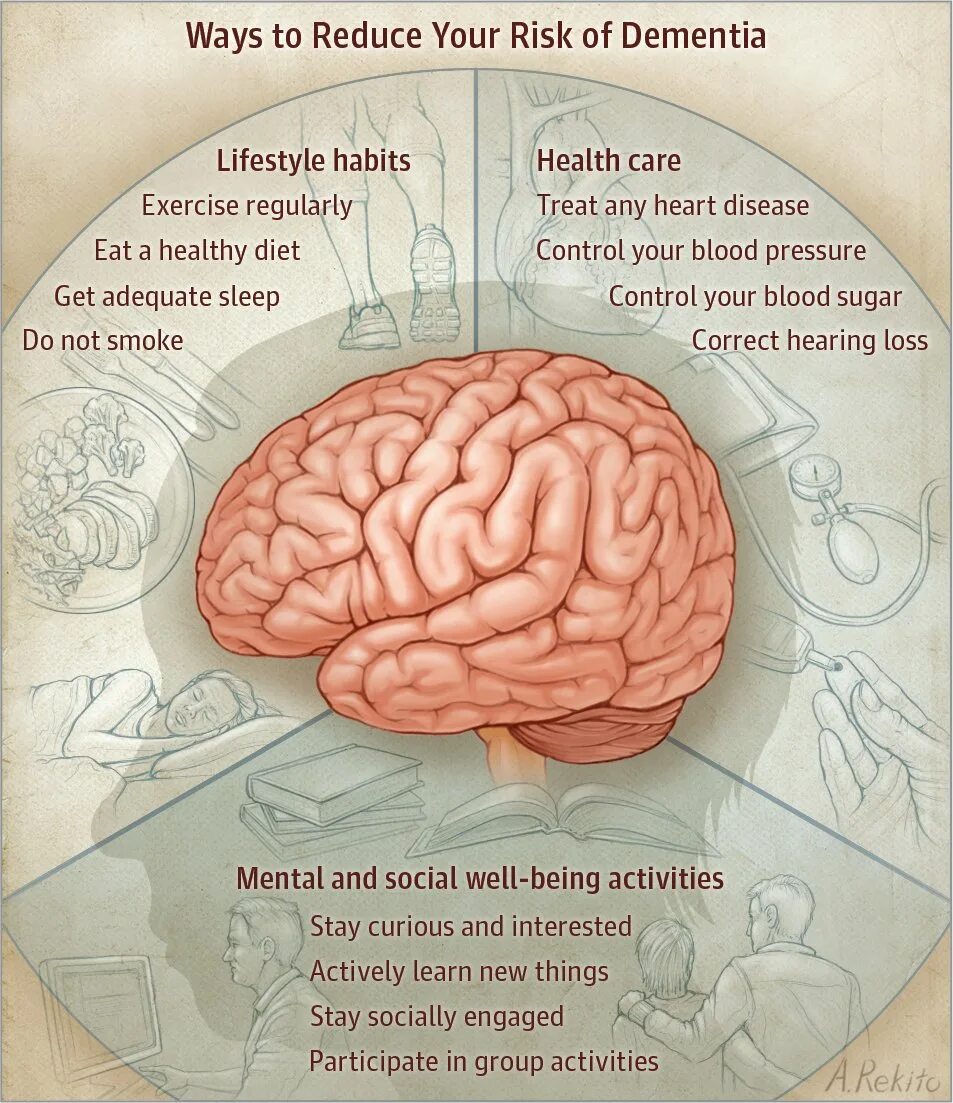 Dementia classification. Деменция риски. Reduces the risk of Dementia. Dementia pictures. Мозг терапи цена отзывы врачей