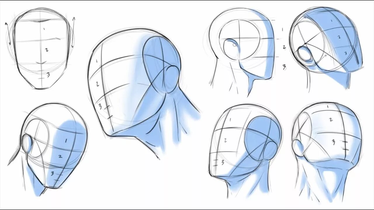 Head forms. Метод Эндрю Лумиса рисование головы. Рисование головы человека в разных ракурсах. Рисование лица в разных ракурсах. Анатомия головы человека для рисования.