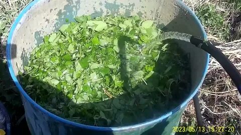 Зеленое удобрение из травы