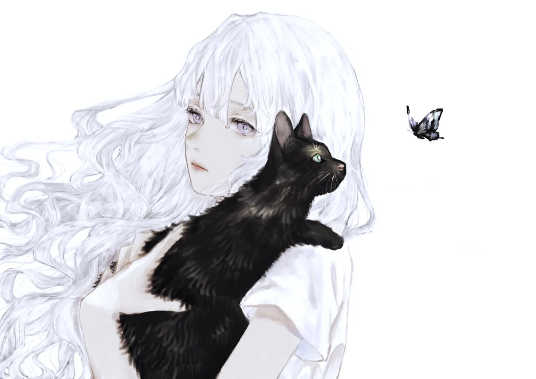 Черный кот и девочка. Девушка с черным котом. Девушка с черным котом арт. Девушка с белой кошкой.