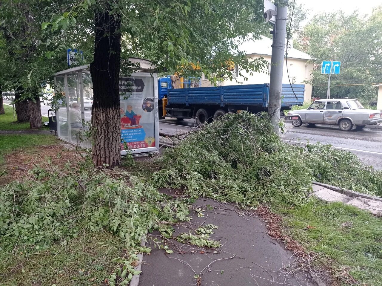 24 мая саратов. Саратов вчерашний ливень. Дорога с деревьями. Саратов упало дерево на Астраханской.