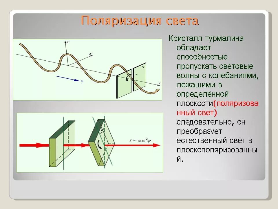 Поляризация волн физика 11 класс. Опыт с турмалином поляризация света. Поляризация световых волн. Поляризация света схема. Поляризация тел