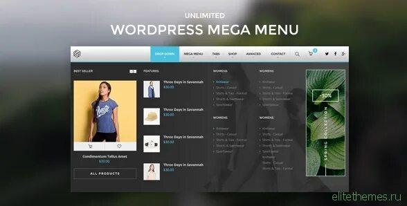 Wp menu