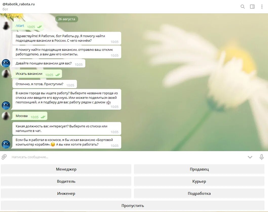 Имена чат ботов. Чат бот. Чат бот пример. Чат bot. Образцы чат ботов в телеграмм.