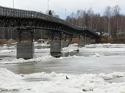 Ледорез