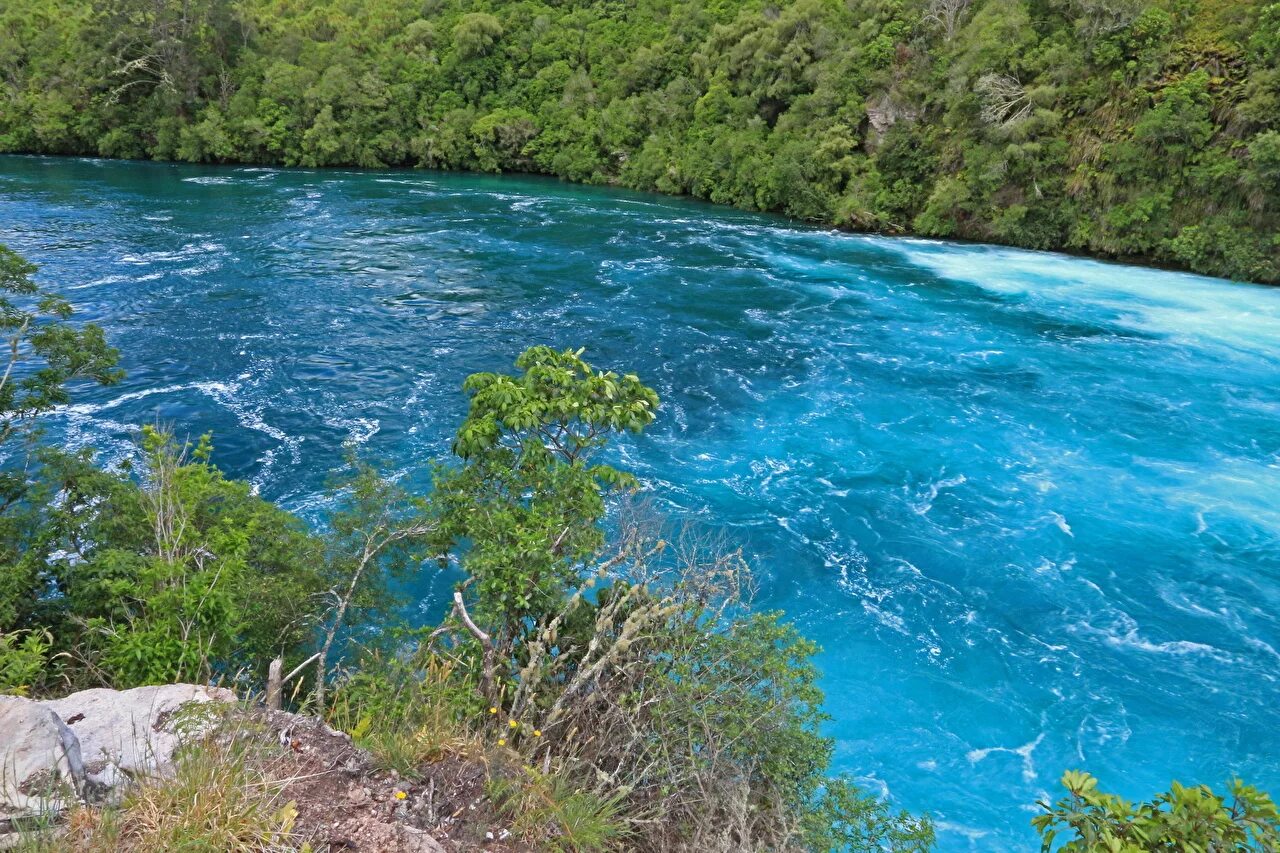 голубое озеро новозеландия. вода новой зеландии. вода новой зеландии. голубое озеро новая зеландия. прозрачное озеро в новой зеландии.