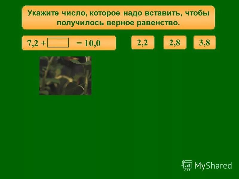 Вставь пропущенные числа. Д. Подставь числа. Укажите числа которые числу а. Вставьте число чтобы получилось верное равенство.