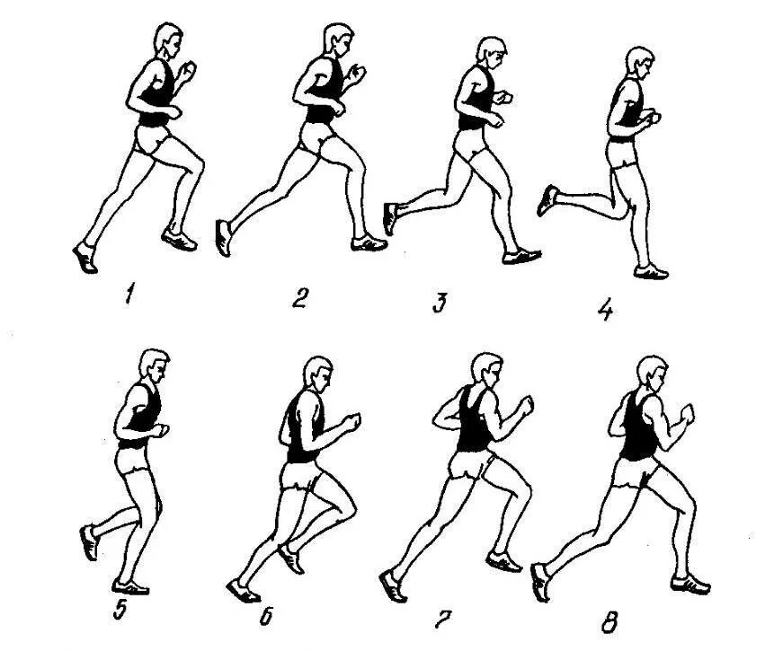 Бег на длинные дистанции техника бега. Бег на длинные дистанции техника выполнения. Легкая атлетика бег на длинные дистанции. Техника бега на средние дистанции схема. Как сделать бег быстрее