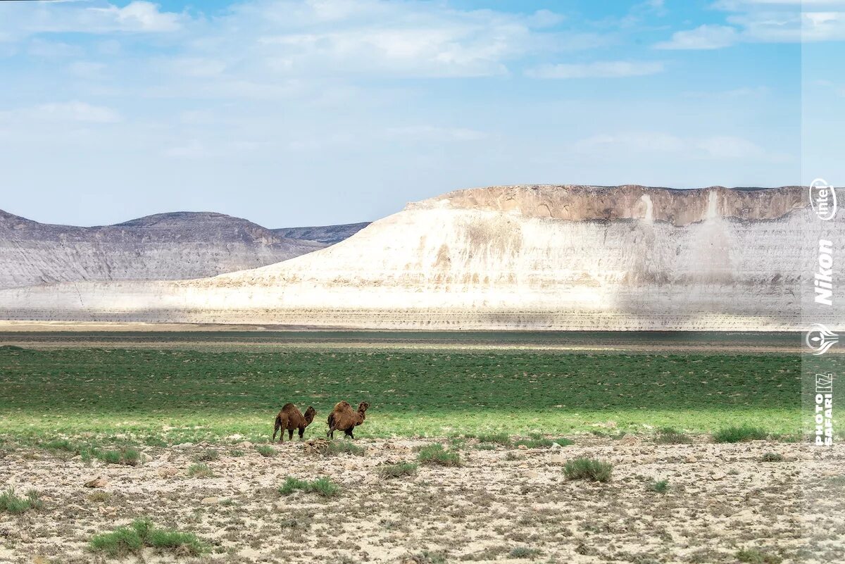 западно-казахстанская область природа. з казахстанская область. подробная карта западно казахстанской области. казахстан. з казахстанская область.