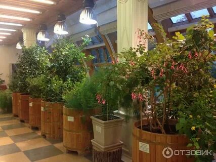 Царицыно оранжерея билеты