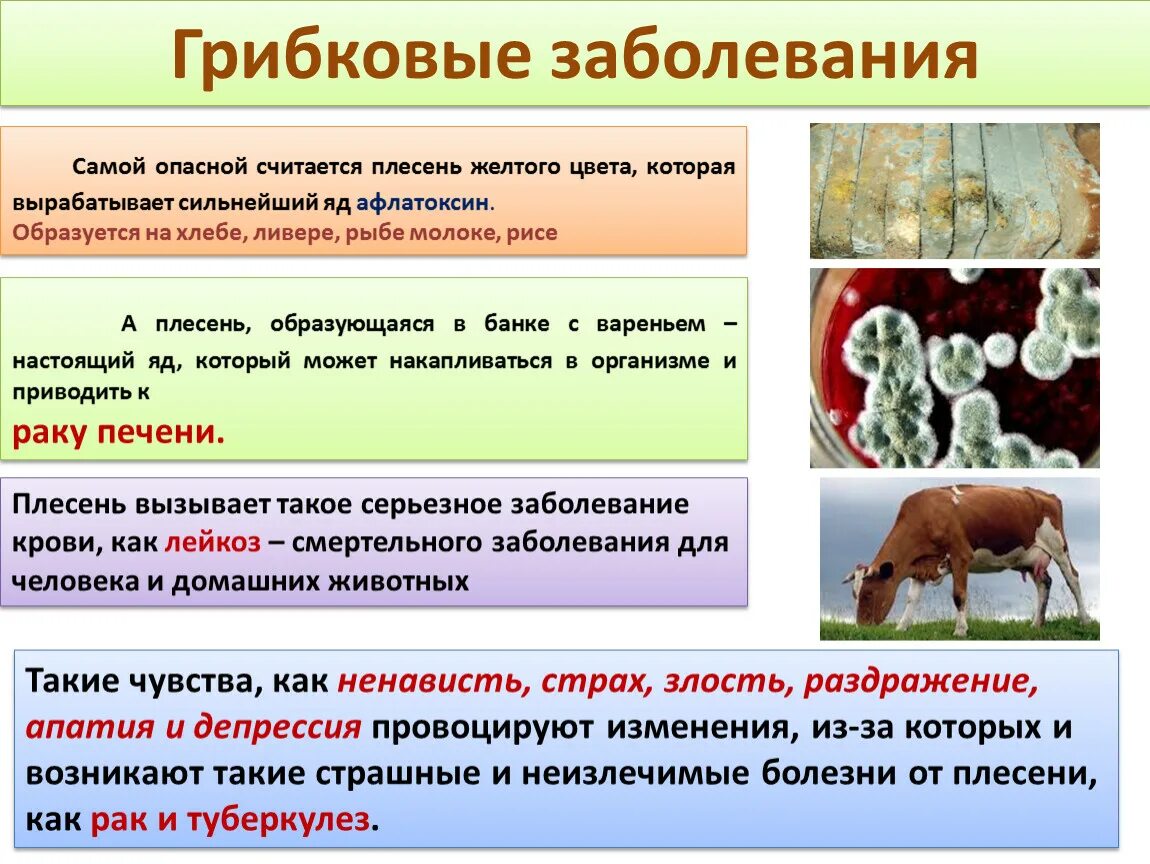 Сама болезнь не может быть