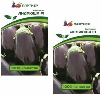 Баклажаны партнер