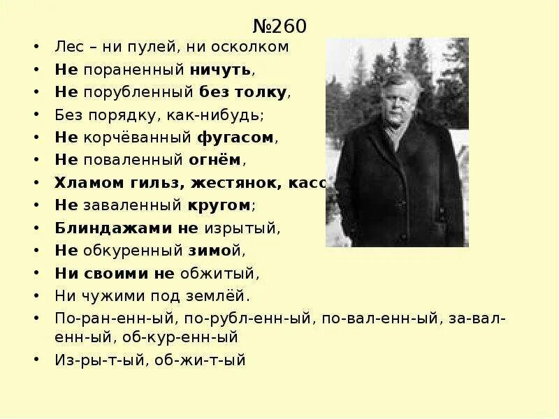 Ничуть стих. Лес ни пулей ни осколком не. лес ни пулей ни осколком не пораненный ничуть не. твардовский лес ни пулей ни осколком. лес ни пулей.