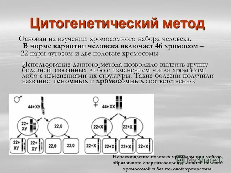 Изучение хромосом какой метод. Цитогенетический метод исследования наследственности. цитогенетический метод исследования наследственности человека. цитогенетический метод изучения наследственности. цитогенетический метод изучения генетики.
