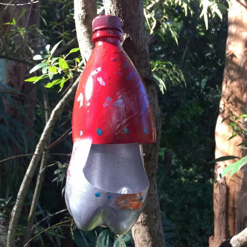 Кормушка из бутылки. Кормушка из пластиковой бутылки. Кормушки из пластиковых бутылок. Кормушки для птиц из пластиковых. Курица из 5 литровой бутылки