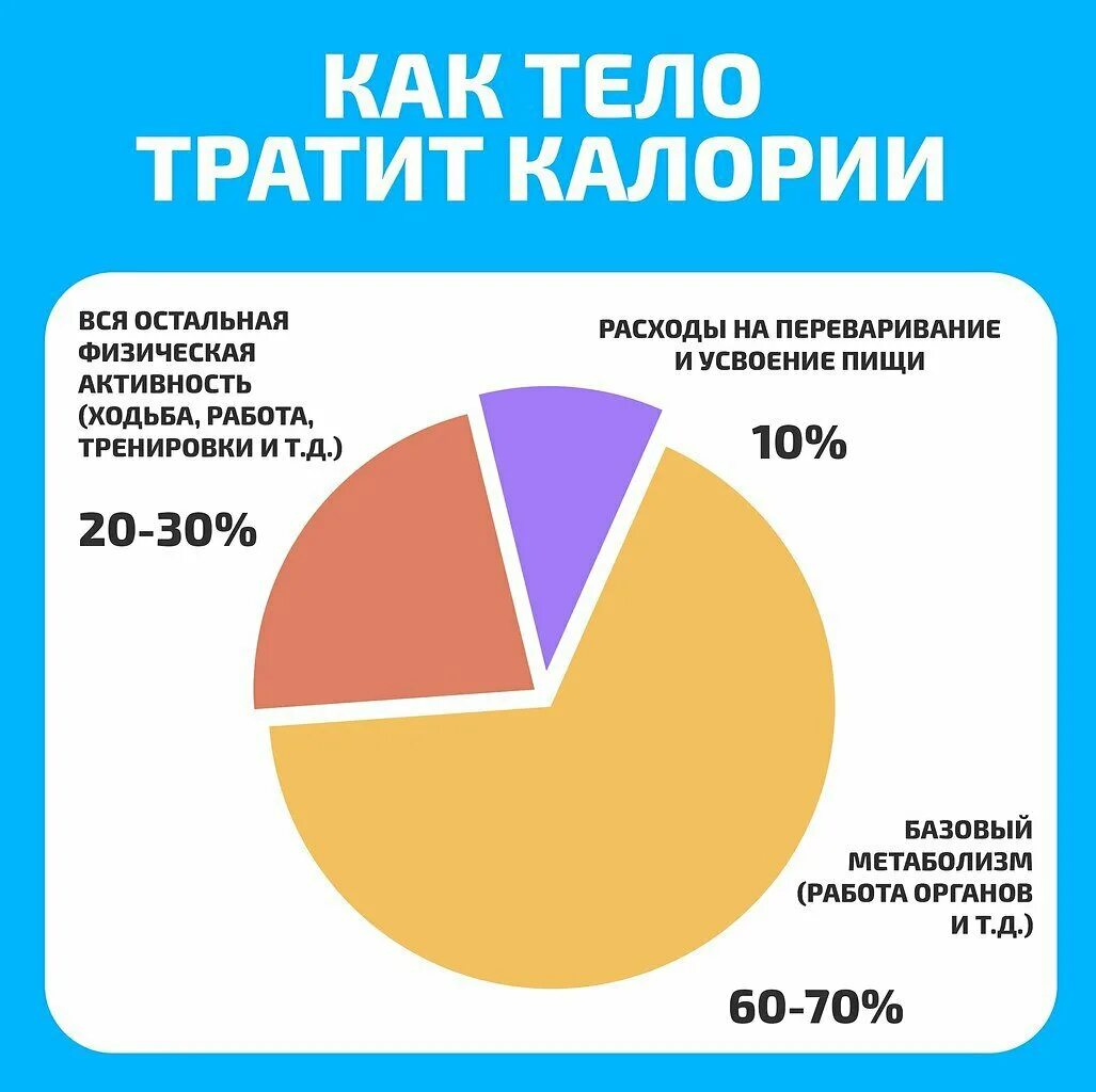 Сколько калорий тратит мужчина. Сколько калорий тратится на жизнедеятельность организма. Количество калорий в человеческом организме. Потребление калорий организмом. Сколько калорий тратит человек в день.