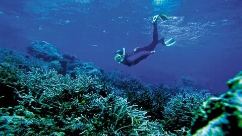 Diving for pearls