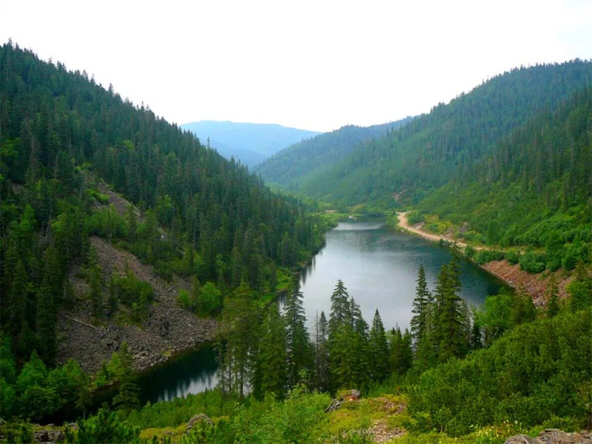 зейский заповедник амурской области. природа сихотэ-алинского заповедника. приамурье дальнего востока. зея амурская область природа. приамурье дальнего востока.