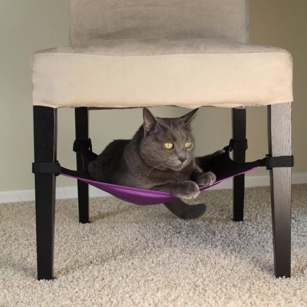 стульчик кот