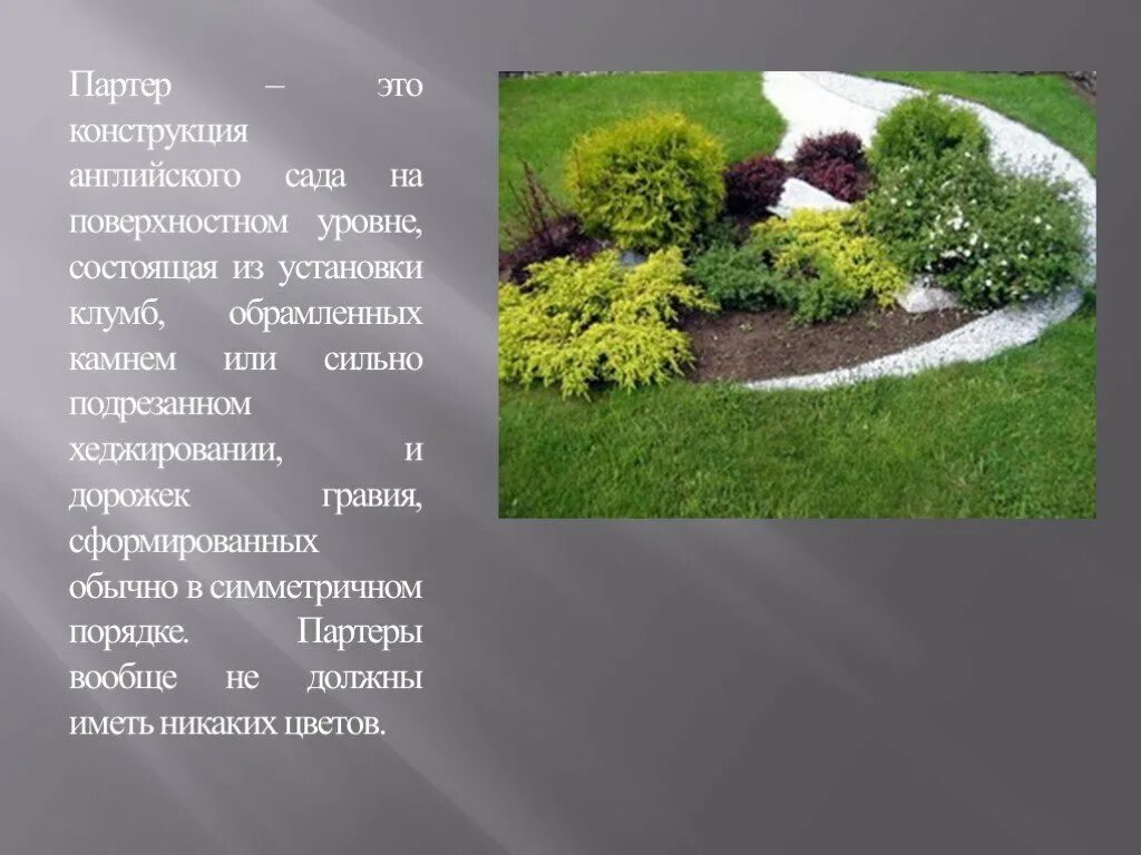 Дорожка в садик текст. Партер в английском саду. Партер в ландшафтном дизайне. Английский партер в ландшафтном дизайне. Английский сад план.