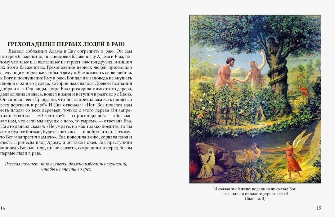 Рай рассказы людей