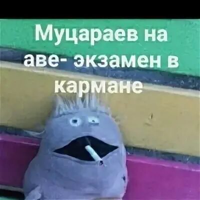 Огэ по химии в кармане на аве. На аве экзамен в кармане. на аве огэ в кармане. на аве устный экзамен в кармане. аватарки для экзамена.