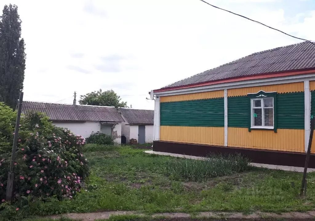 Тресоруково фото. Церковь в тресоруково. Погода тресоруково на 10. Погода тресоруково на 10. Церковь троицы живоначальной, село бабяково.