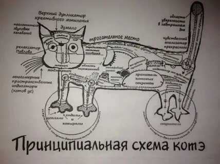 Принципиальная схема котэ картинка