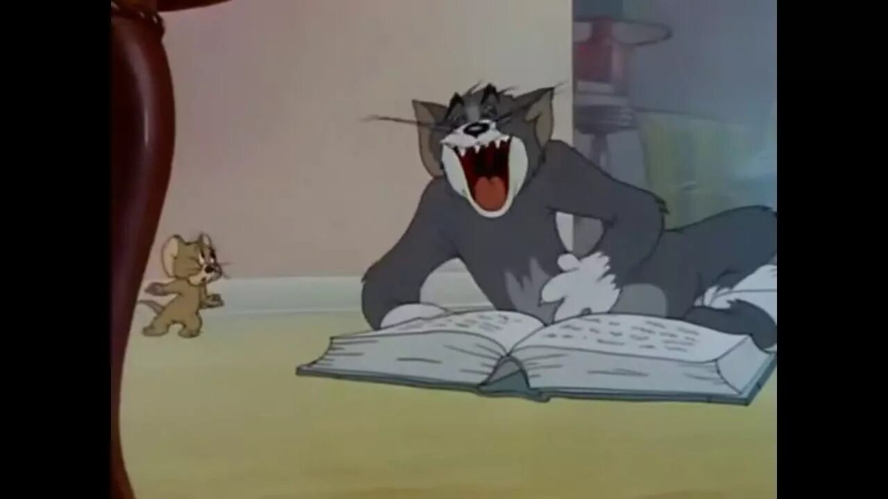 Читай том и ход. Том и Джерри смеется. Кот том смеется. Том и Джерри смеется над книгой. Том и Джерри кот смеется.