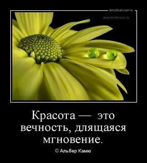 Мгновение длится 90 секунд