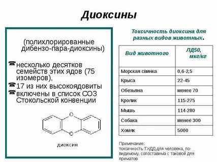 Диоксины это