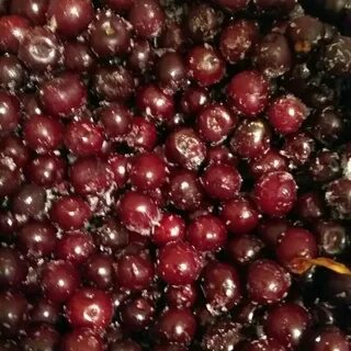 Вишня замороженная с косточкой