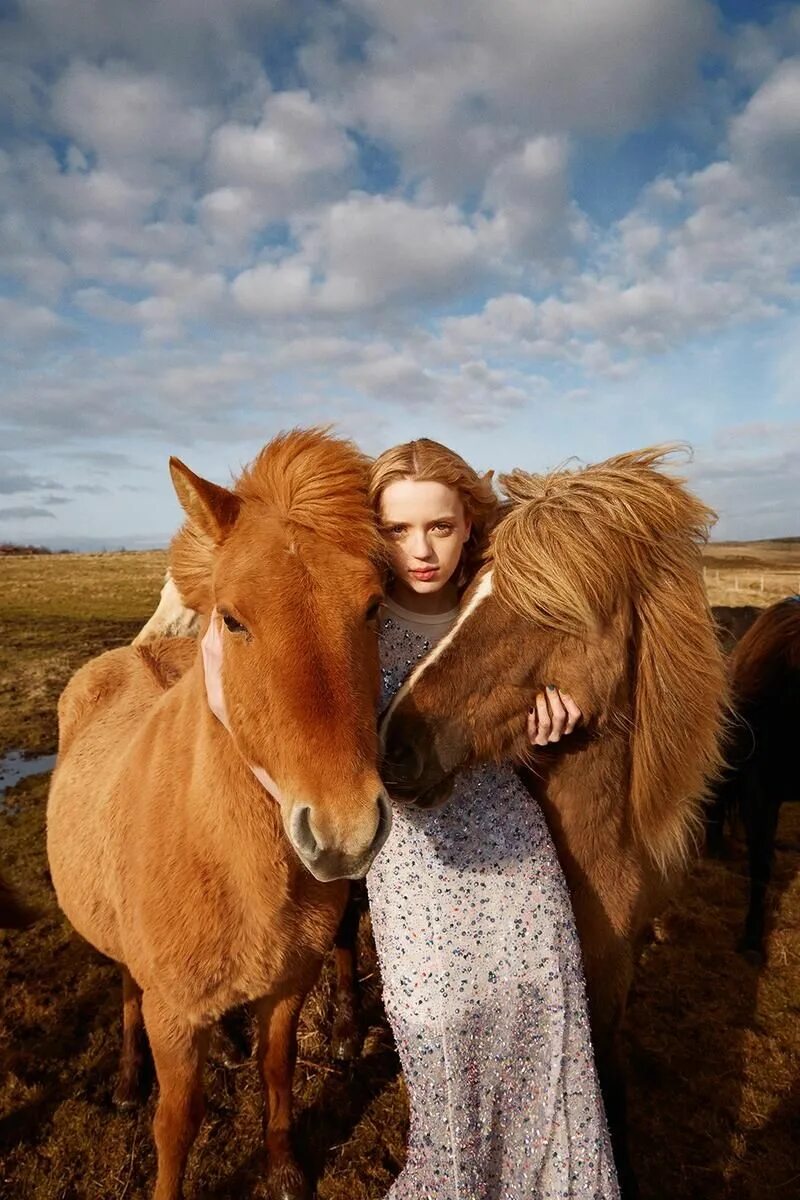 Лошадь миллера. Ryan MCGINLEY. Фотограф Ryan MCGINLEY.