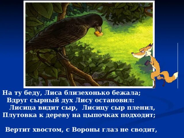 С вороны глаз не сводит. Вдруг сырный дух лису остановил. Басня лиса и ворона. Басня плутовка к дереву на цыпочках подходит. Плутовка к дереву на цыпочках подходит вертит хвостом с вороны глаз.