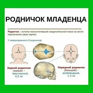 Количество зарасти