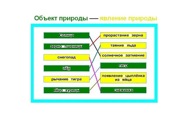 Объектов в том что нужно. Объекты природы и явления природы. Рычание тигра это явление природы или объект. Солнце это явление природы или объект природы. Зерно пшеницы это объект или явление природы.