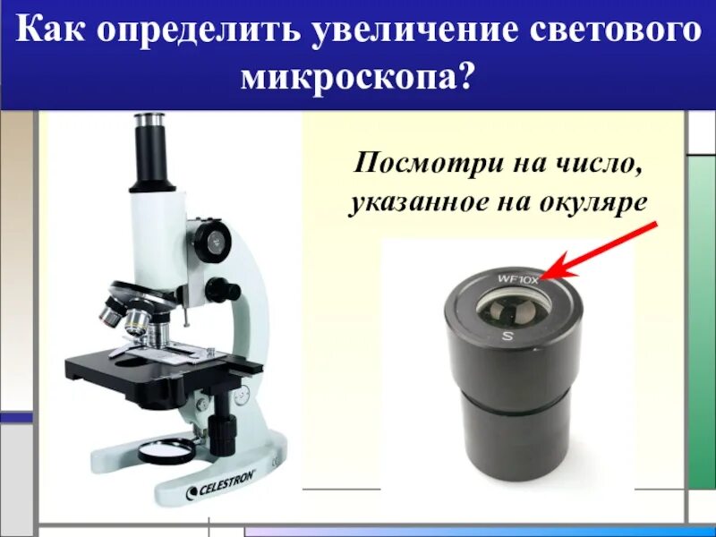 Как узнать увеличение объектива. Цифровой микроскоп 60 окуляр. Окуляр микроскопа Nikon mmk20331. Увеличение микроскопа. Увеличение светового микроскопа.