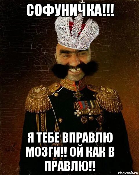 Вправить человеку мозг может только время. Вправить мозги. Вправить мозги значение фразеологизма. Мозг шарж. Вправить мозги.