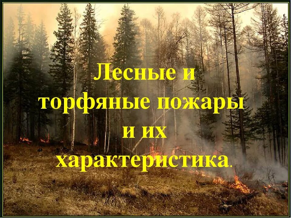 Характеристика лесных пожаров обж. Лесные и торфяные пожары. Лесные пожары и их характеристика. Лесные и торфяные пожары и их характеристика. Лелесные и торфяяеые пожары характеристика.