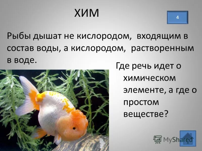 Водная среда водоросли. Количество кислорода в воде. Таблица растворенного кислорода в воде для рыб. Водяная помпа sobo wp-1250 аквариумная. Кислород в морской воде рыбы.