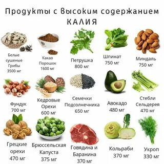 Продукты богатые витамином в 1