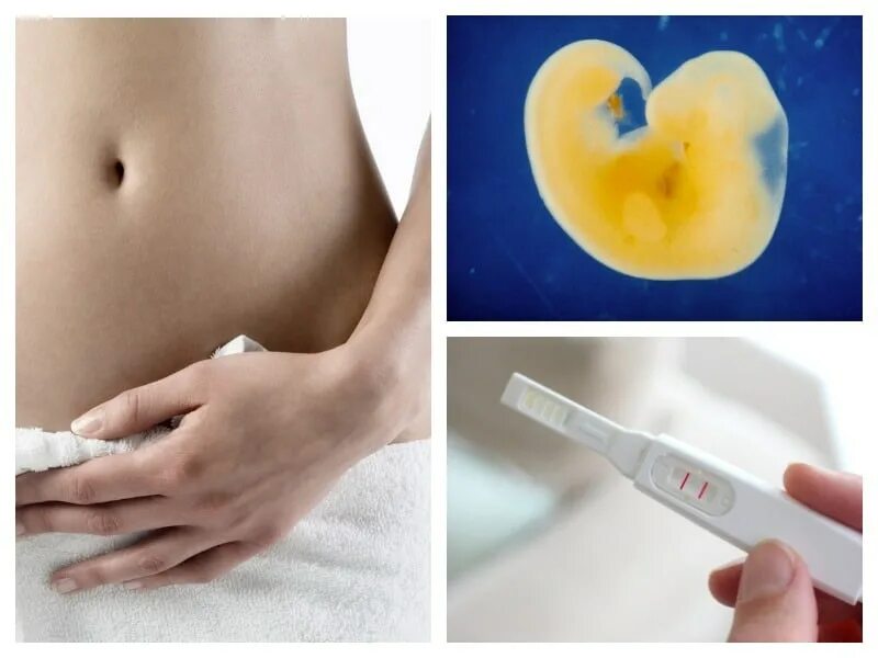 Беременность 2 4 неделя. Беременность 4 недели симптомы. Ощущения на 4 неделе беременности. Беременность 2-4 недели симптомы беременности.