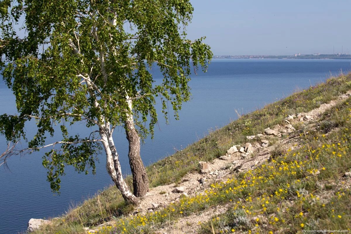 За свое за родное самарская область. Самарская Губерния природа. Природа Самара Самарка. Природа Самарского края Волга.